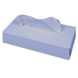 Boîte cosmétique blanc, boîte à 100 lingettes, 2 couches, 210 x 205 mm