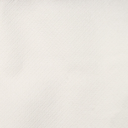 Rouleau d'essuie-mains, blanc brillant, 2 couches, env. 210 mm x 130 m, non perforé