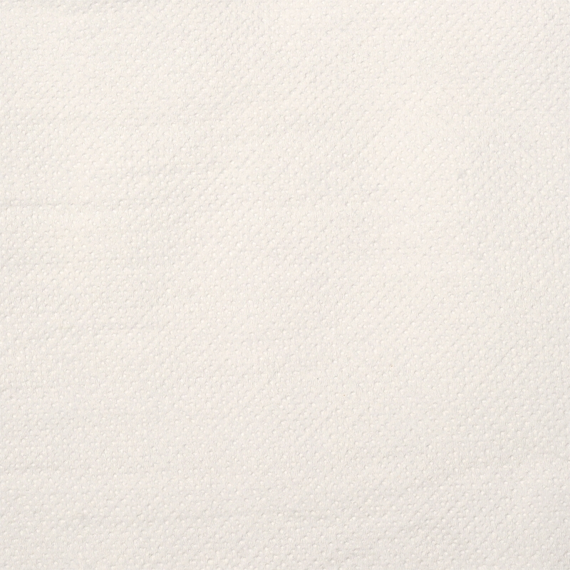 Rouleau essuie-mains, blanc brillant, 2 couches, env. 450 feuilles de 220 mm x 160 m