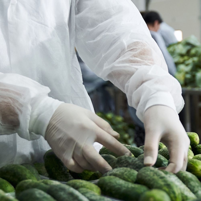 Protège-manches avec poignets tricotés | SMS, couleur blanc, longueur 45 cm