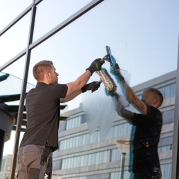 ErgoTec Fensterwischer 55 cm