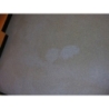 Lino-Restorer, 10 l