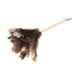 Plumeau d'autruche "Clever"